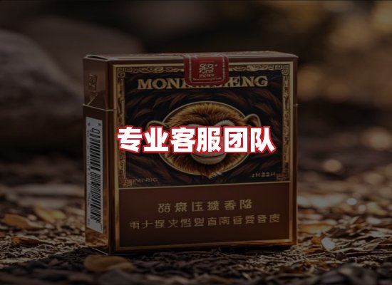 专业团队